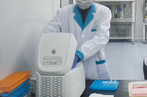 丹东司法亲子鉴定要多少钱的费用,